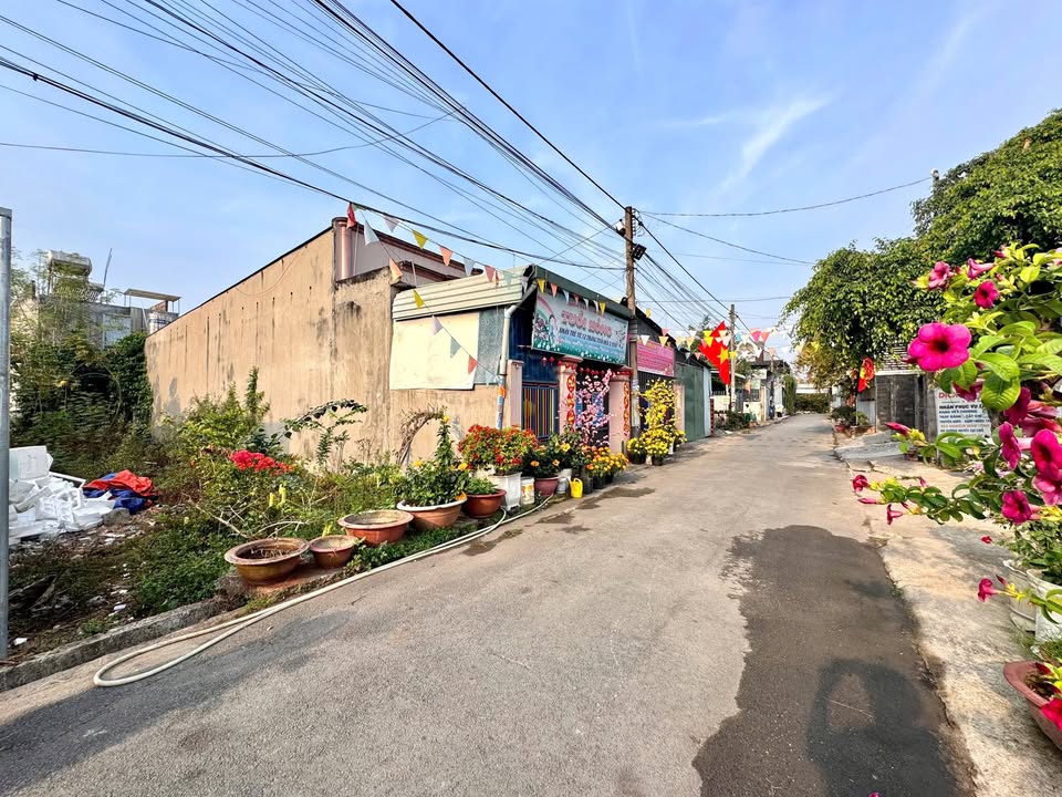 Đất nền Trảng Dài, Biên Hòa 120m² giá 1.5 tỷ - Đường nhựa thông thoáng!