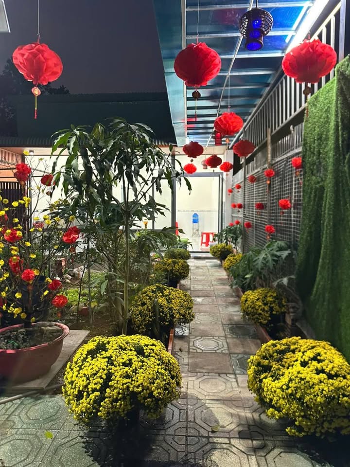 Nhà vườn Trảng Dài Biên Hòa 132m² giá 2.55 tỷ - Ô tô vào tận nhà!