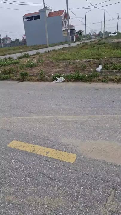 Đất nền Nguyên Hòa, Phù Cừ 99.88m² – Hạ tầng hoàn thiện!