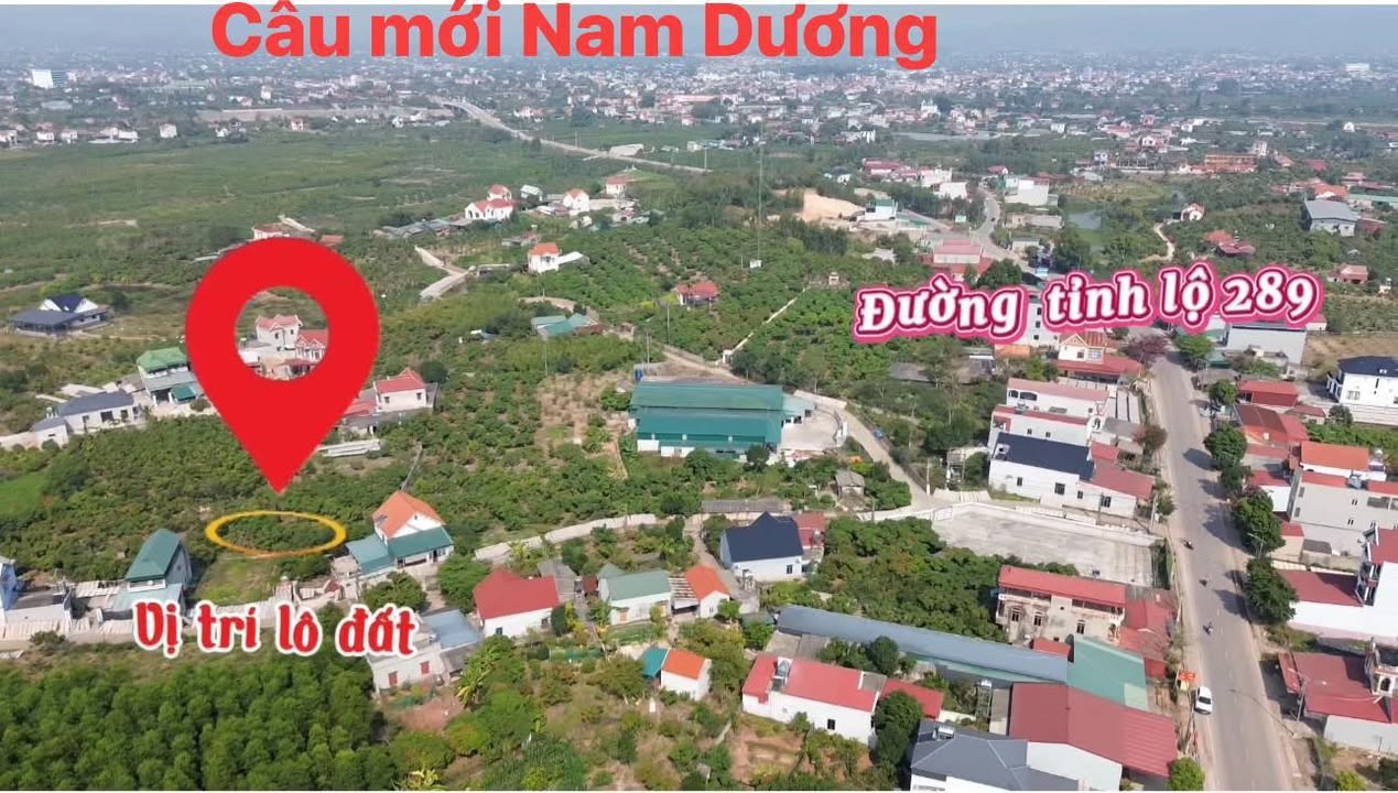 Đất thổ cư Xã Tân Mộc, Huyện Lục Ngạn 270m² giá 700 triệu - Sổ đỏ chính chủ, sang tên ngay!