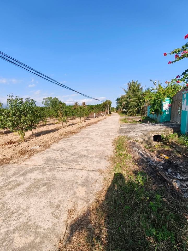 Đất nền Suối Tiên Diên Khánh 135m² - Sổ đỏ chính chủ!