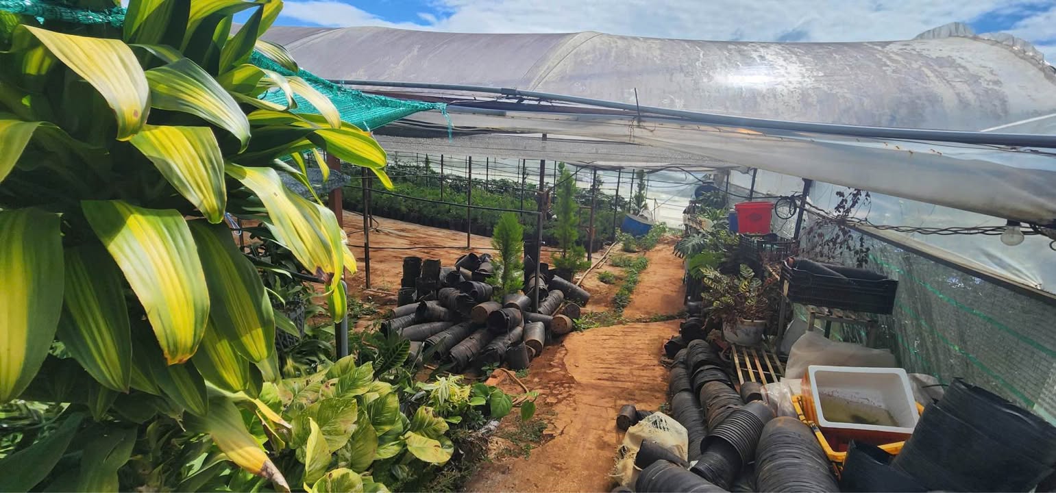 Đất nền xã Xuân Thọ, Đà Lạt 2000m² giá 6 tỷ - View thoáng đẹp, mặt tiền rộng!