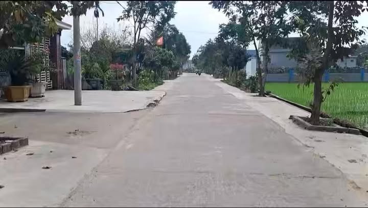 Đất nền Xã Tân Thành 252m² - Sổ đỏ chính chủ - Vị trí đắc địa kinh doanh!