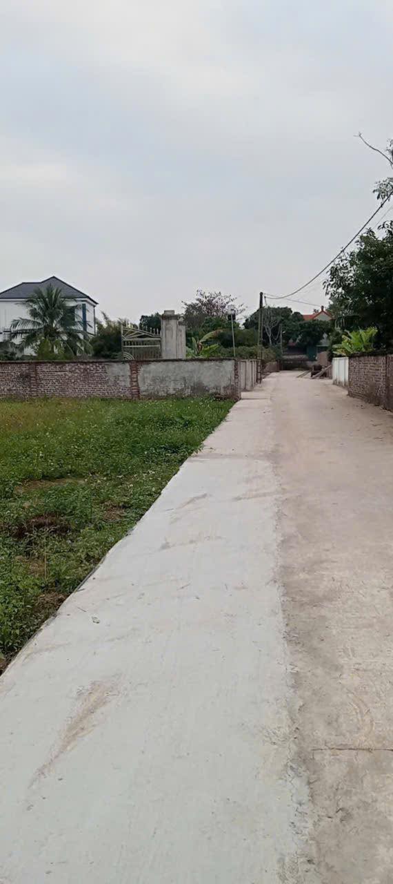 Đất thổ cư Thanh Sơn, Thanh Hà 102m² giá chỉ 600 triệu - Đầu tư sinh lời!