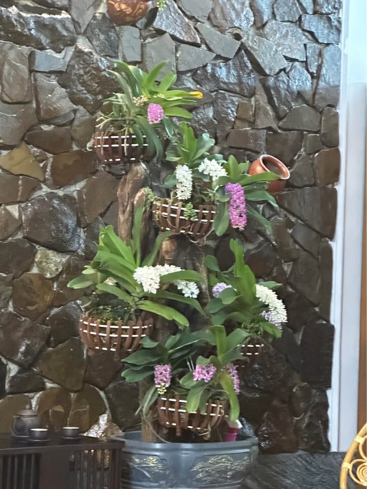 Đất nền Cư Bua City Buôn Ma Thuột từ 1.89 tỷ - Sổ đỏ chính chủ