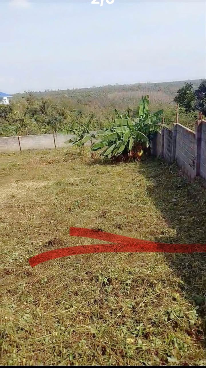 Đất nền Tân An Buôn Ma Thuột 150m² - 980 triệu - Sổ đỏ chính chủ