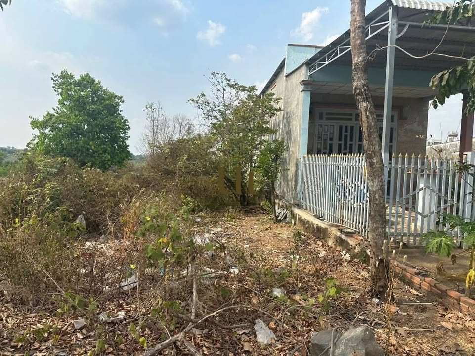 Đất nền thổ cư 638.4m² tại Ấp 1, Xã Thanh Hòa - Giá chỉ 102.465 tỷ VND!