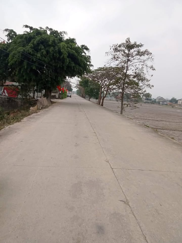 Đất thổ cư Đông Sơn, Tam Điệp 249m² - Giá cực hấp dẫn cho nhà đầu tư!