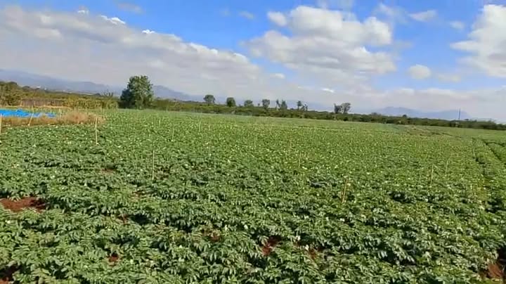 Đất vườn Tân Hội, Đức Trọng 3456m² - Giá đầu tư tốt