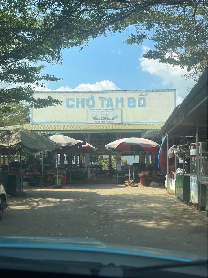 Đất nền Di Linh Lâm Đồng 200m² giá 690 triệu - Sổ đỏ chính chủ!