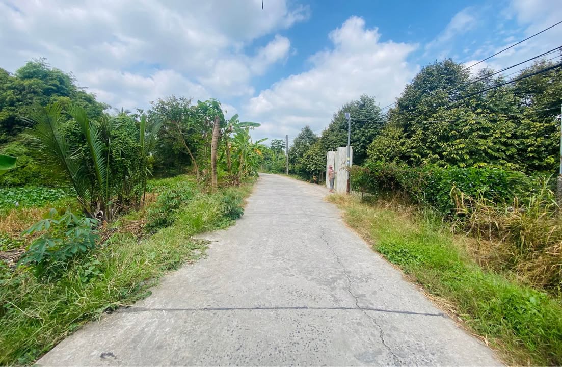 Đất nền Phong Điền Cần Thơ 806m² - Sổ hồng sang tên liền!