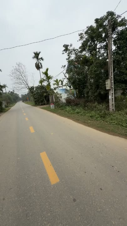 Đất Đấu Giá Phượng Lâu Việt Trì 128m² Hơn 600 Triệu - Sổ Đỏ Chính Chủ