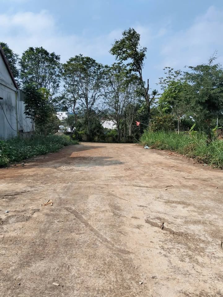 Đất nền Tây Hiếu, Thái Hòa 184m² giá 500 triệu - Cơ hội đầu tư tuyệt vời!