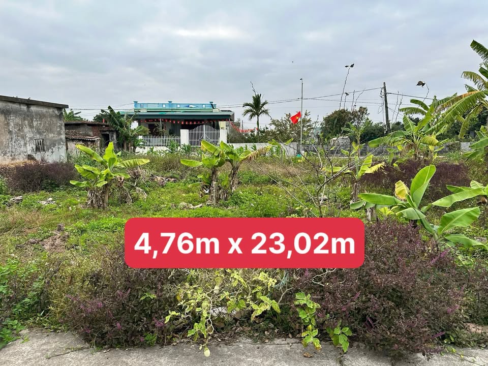 Đất nền thôn Chí Cường, xã Nam Cường, 77m² giá chỉ 770 triệu - Cơ hội đầu tư hấp dẫn!