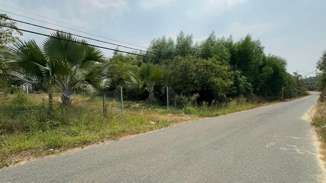 Đất Vườn Định Quán 10.000m² - Giá 4.2 Tỷ, Sinh Thái Xanh!