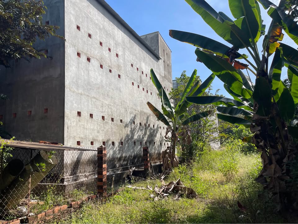 Đất Farm 25.200m² tại Huyện Củ Chi - Giá thỏa thuận - Đầu tư sinh lời ngay!