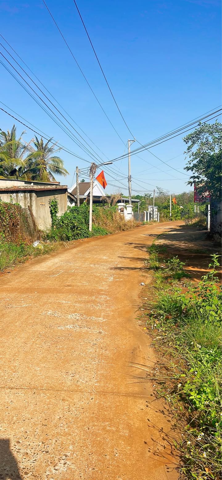 Bán đất Lộc Tấn Lộc Ninh 270m² giá 750 triệu - Sổ đỏ chính chủ