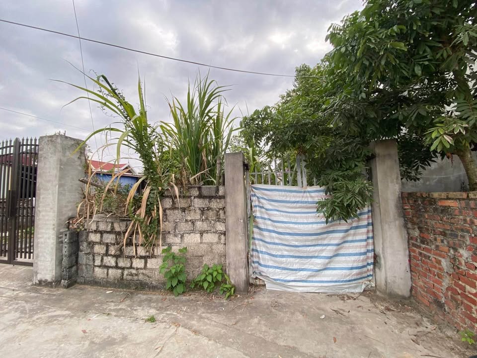 Đất nền An Lão 100m² giá dưới 900 triệu - Đường to ô tô