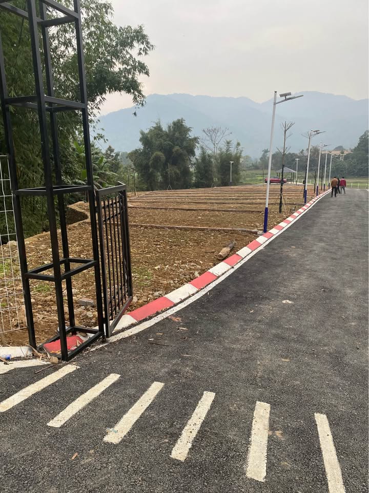 Đất nền Cự Thắng Thanh Ba 6000m² - Tiềm năng tăng giá vượt trội!