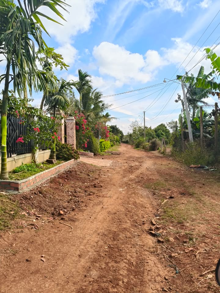 Đất nền Krông Năng 224m² giá 29.12 tỷ - Sổ đỏ chính chủ!