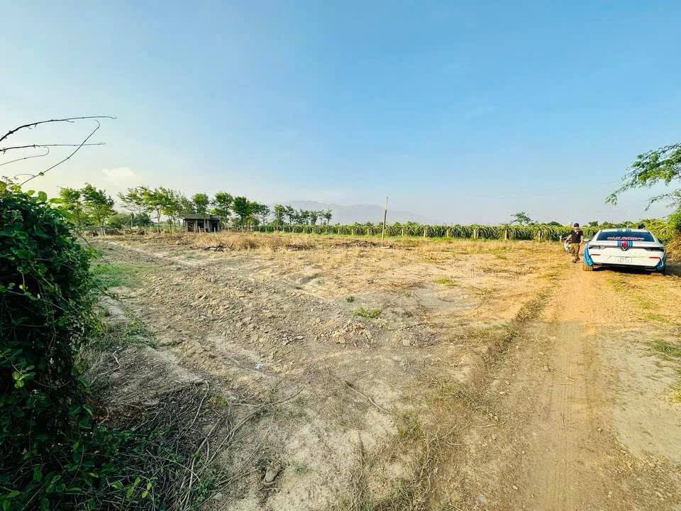 Đất Vườn Hàm Thuận Nam 1800m² - Giá Đầu Tư 650 Triệu