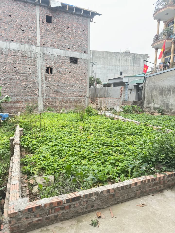 Bán đất mặt tiền Cổ Loa Đông Anh 50m² giá 4 tỷ - Vị trí đắc địa!