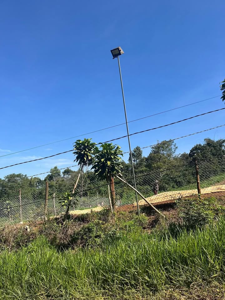 Đất nền Di Linh 330m² giá 920 triệu - Sổ đỏ chính chủ, vị trí đắc địa