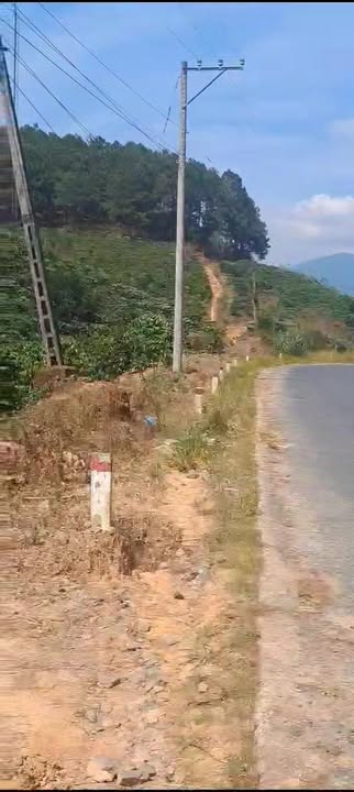 Đất vườn Phú Sơn Lâm Hà 11.000m² giá 4 tỷ - Nghỉ dưỡng lý tưởng!