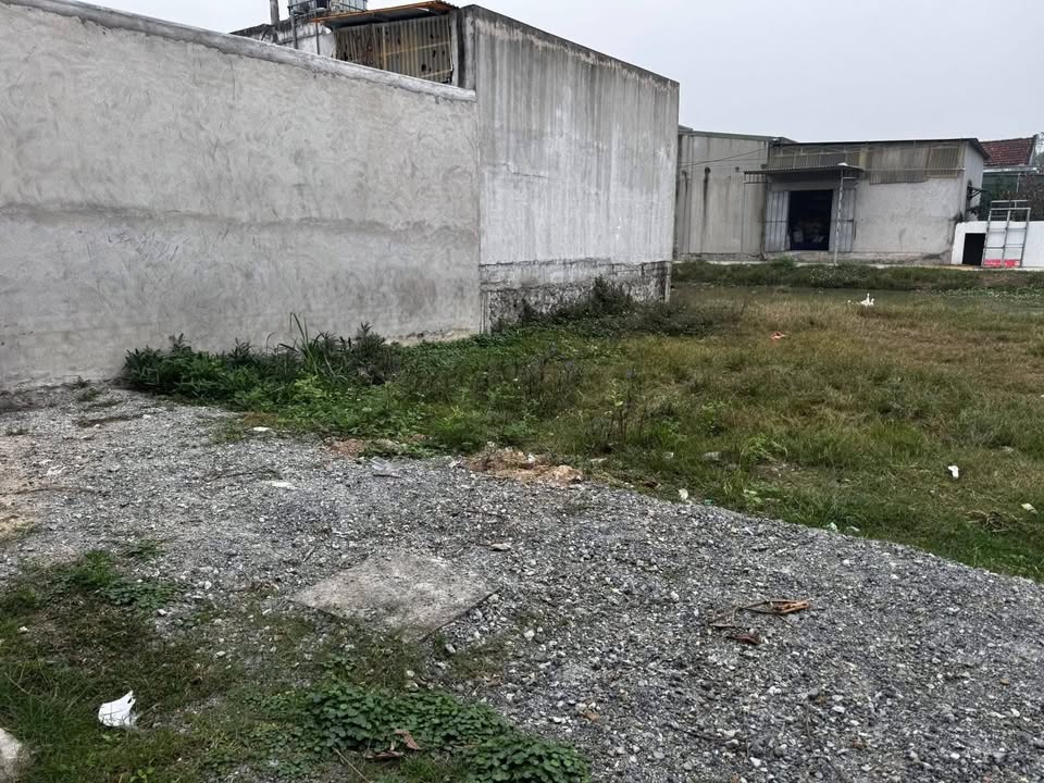 Đất Nền Quỳnh Thạch Quỳnh Lưu 150m² Hơn 1 Tỷ - Sổ Đỏ Chính Chủ