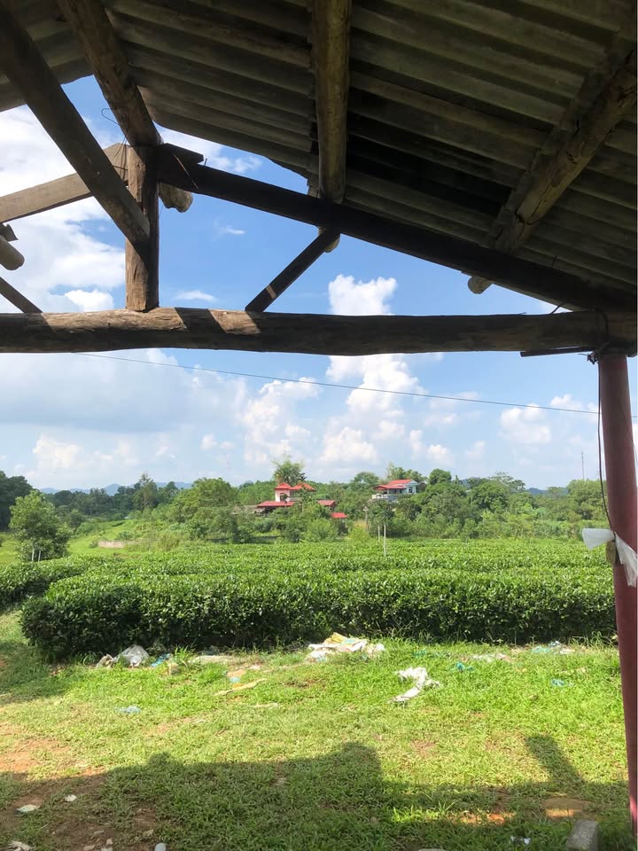 Đất nghỉ dưỡng Hoàng Nông Đại Từ 2400m² hơn 2 tỷ - View thiên nhiên!