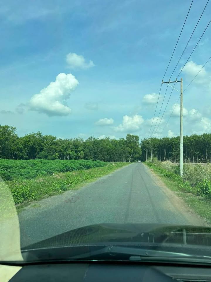 Đất sào 1200m² tại xã Tân Quan, Huyện Hớn Quản - Sổ hồng chính chủ giá 590 triệu!