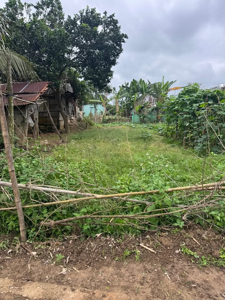 Đất nền xã Nam Phước, TP Đà Nẵng 140m² giá chỉ 400 triệu - Cơ hội đầu tư tuyệt vời!