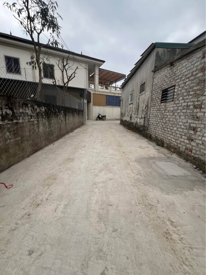 Đất Hưng Lộc 100m² gần ETIZZX - Sổ đỏ sẵn sàng, ô tô vào nhà