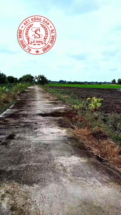 Đất nền xã Tân Hội, huyện Tân Hiệp, 1887m² giá 38.12 tỷ - Cơ hội đầu tư hấp dẫn!