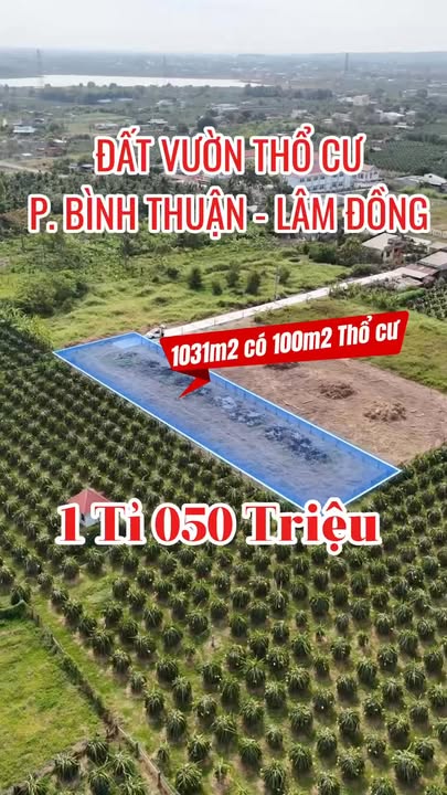 Đất Vườn 1031m² Thổ Cư Sẵn Sàng - Phan Thiết, Bình Thuận
