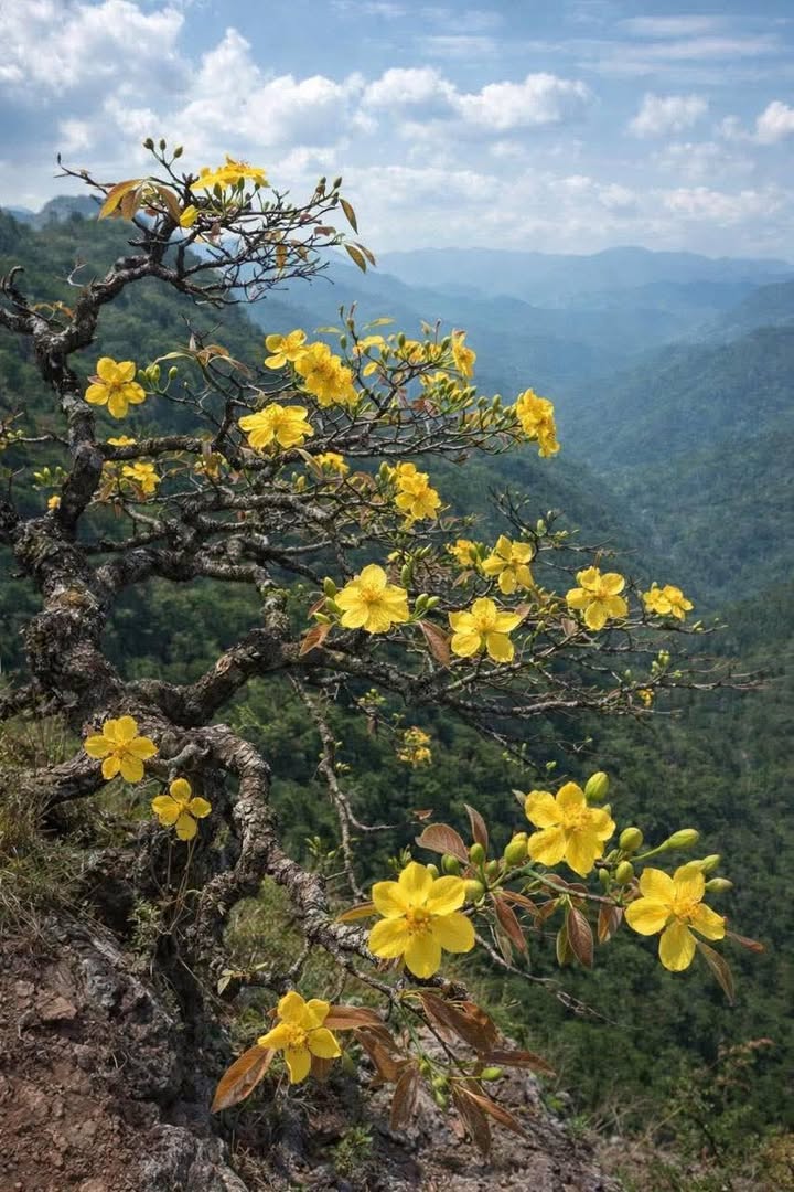 Nhà riêng Đông Thạnh Hóc Môn 65m² giá 2.35 tỷ - Sổ hồng chính chủ