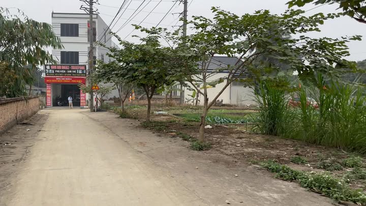 Đất nền Tân Tiến Chương Mỹ 70m² giá 2 tỷ - Sổ đỏ chính chủ!