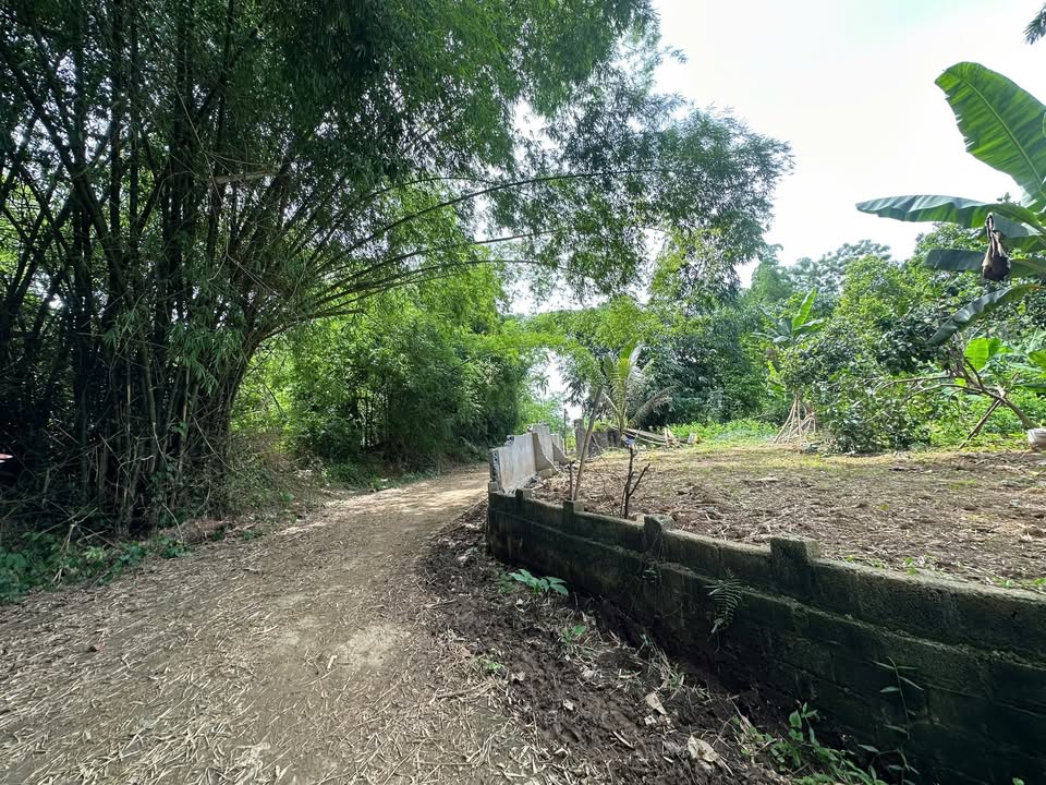 Đất nền xã Sào Báy, huyện Kim Bôi, 304m² - Cơ hội đầu tư tuyệt vời!