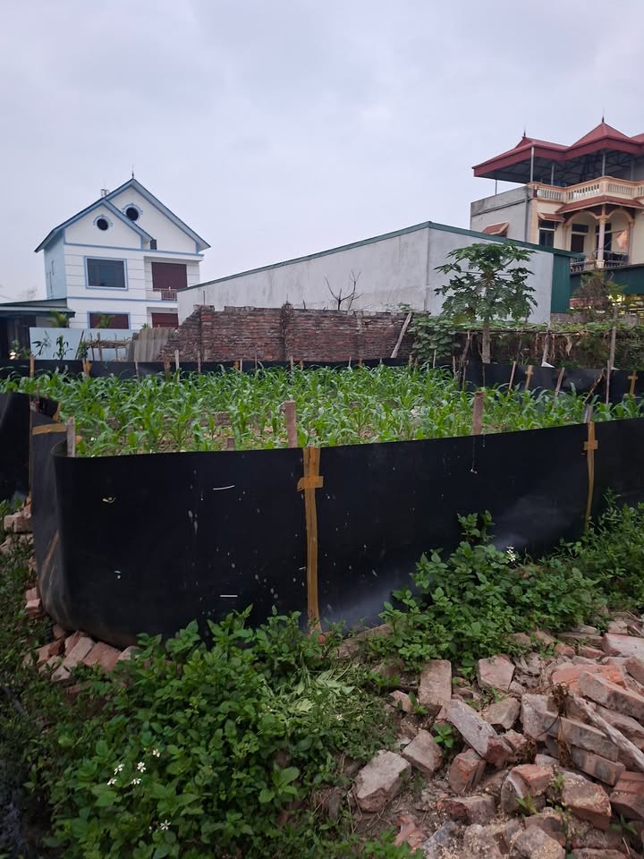 Đất nền Thuận Thành 62m² - Pháp lý rõ ràng, tiềm năng sinh lời!