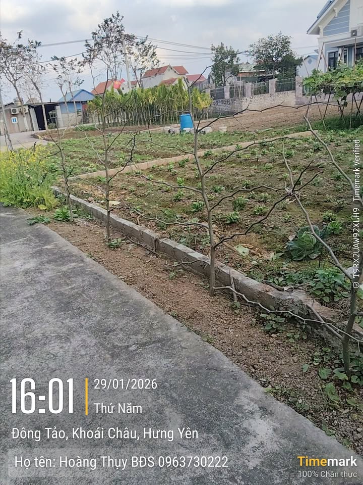 Đất nền Đông Tảo 65m² giá 1.5 tỷ - Sổ đỏ chính chủ