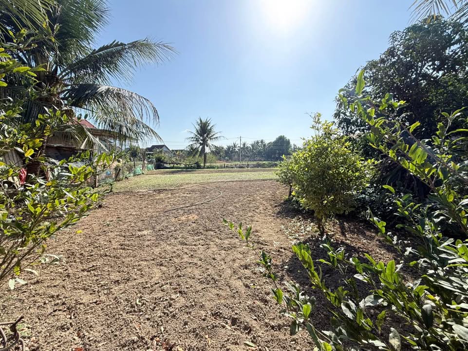 Đất nền Diên Điền Diên Khánh 330m² giá 2.31 tỷ - Sổ đỏ chính chủ!