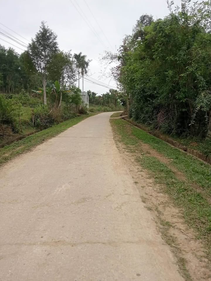 Đất vườn Hương Khê, Hà Tĩnh 5000m² - Nghỉ dưỡng lý tưởng!