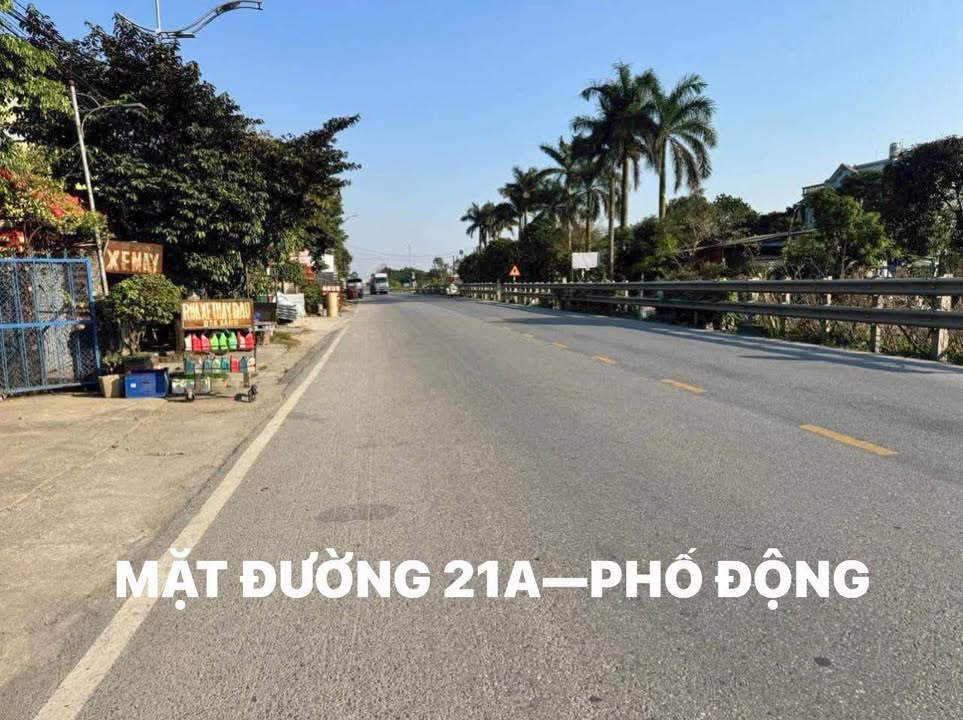 Biệt thự mặt tiền QL21 Hà Nam 303m² - Vị trí vàng kinh doanh!