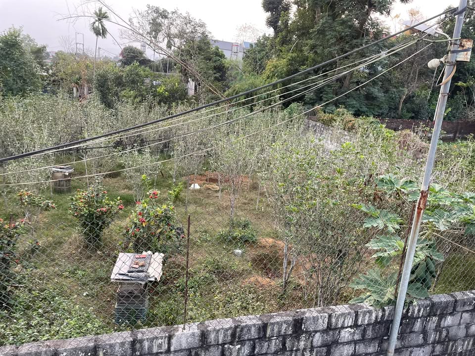 Đất nền Phú Cát Quốc Oai 357m² giá 3.57 tỷ - Sổ đỏ chính chủ