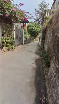 Đất tặng nhà Dương Tự Minh 213m² giá 2.x tỷ - Nở hậu tài lộc