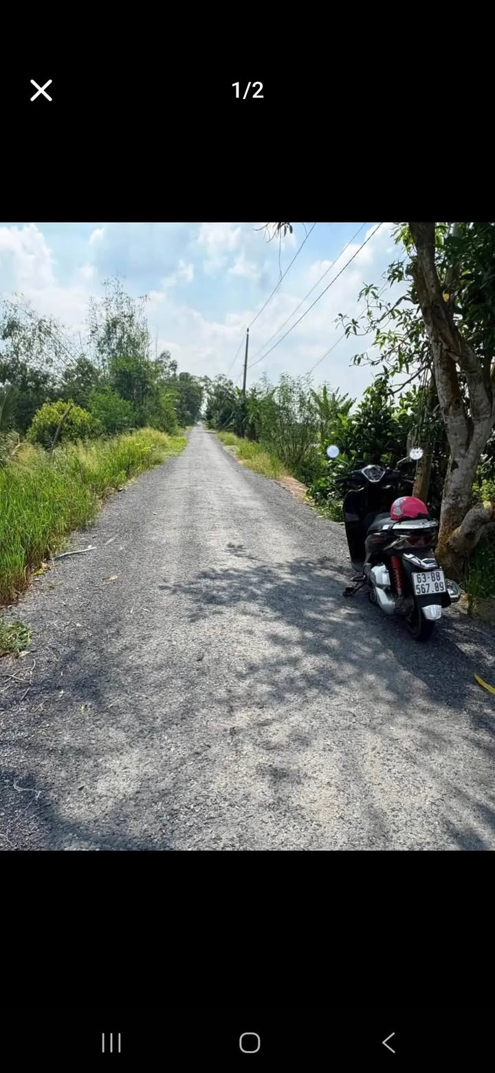 Đất Vườn 34.000m² Đồng Tháp - Sổ Hồng Riêng, Bao Lên Vườn