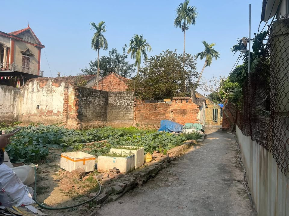 Đất nền Việt Hòa Văn Lâm 129m² hơn 2 tỷ - Sổ đỏ chính chủ!