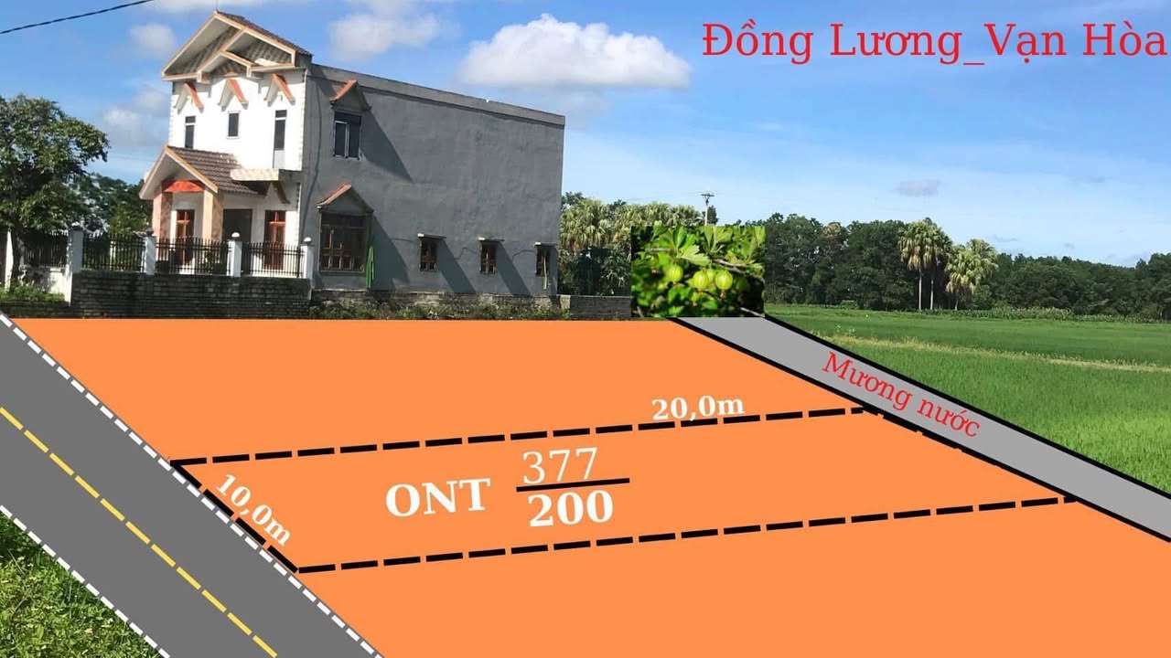 Đất đấu giá chính chủ tại Vạn Hòa, Nông Cống, Thanh Hóa – Diện tích 200m², Pháp lý rõ ràng, Giá tốt