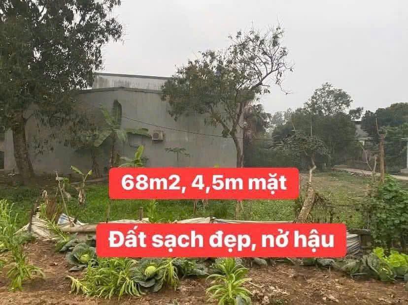 Đất nền Nguyễn Đức Cảnh, Thanh Châu 68m² giá 1 tỷ - Cơ hội tốt cho vợ chồng trẻ!