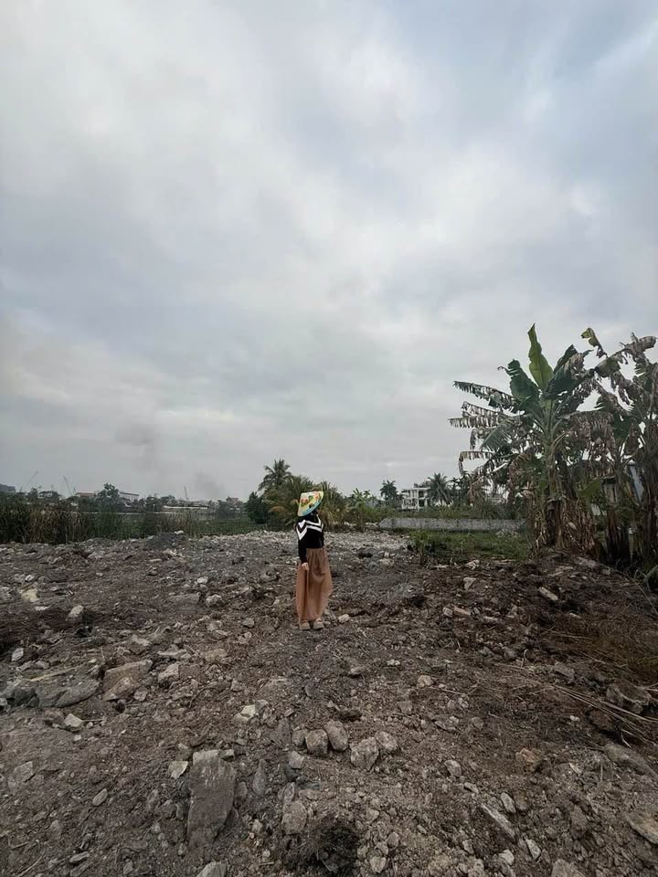 Đất Nền Mặt Tiền 359 Thủy Nguyên - 808m² - Kinh Doanh Đắc Địa